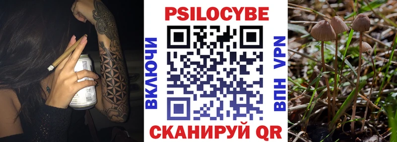 наркотики Жуков Галлюциногенные грибы GOLDEN TEACHER